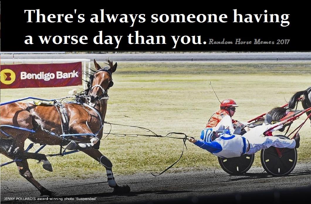 Harness Racing Memes