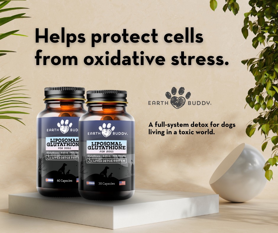 It's estimated that up to 45 percent of liver disease in dogs is caused by low glutathione levels. There are several things you can do to help increase glutathione in the body
