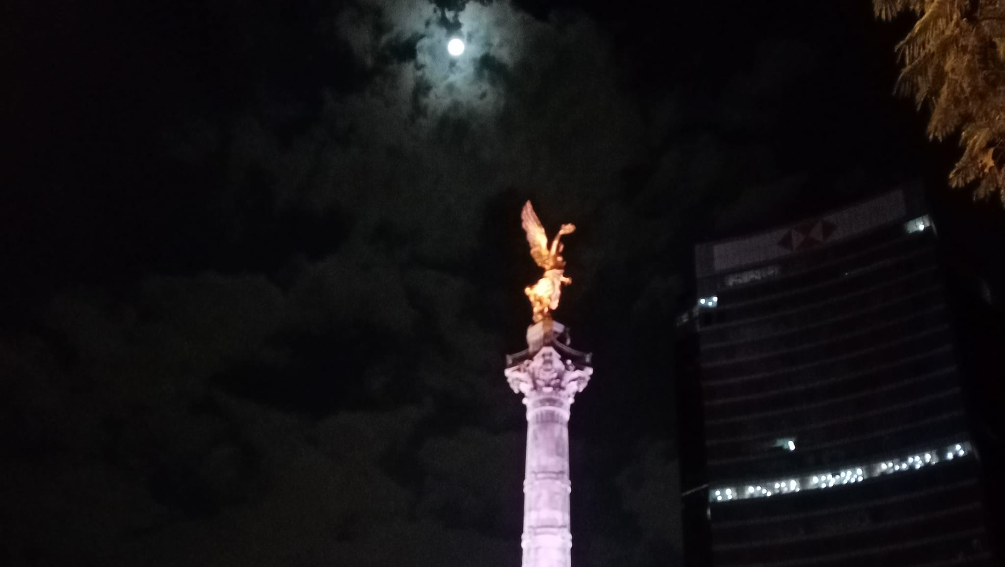 King Club | Mexico City