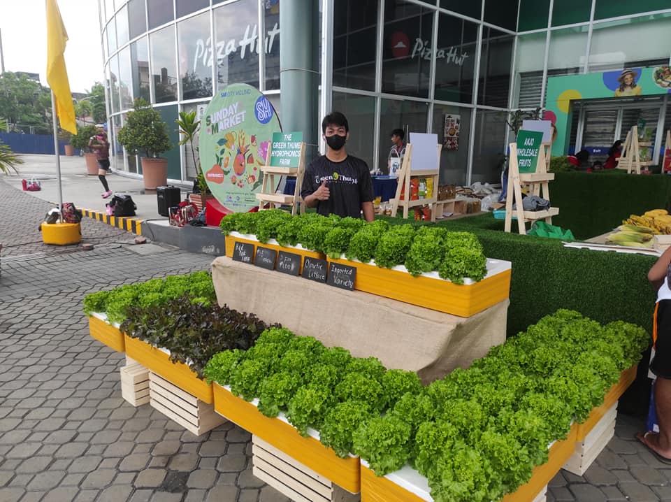 The Green Thumb Hydroponics Farm | Imus