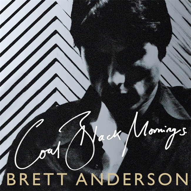 SIGNED | Brett Anderson (Suede) - Afternoons with the Blinds Drawn