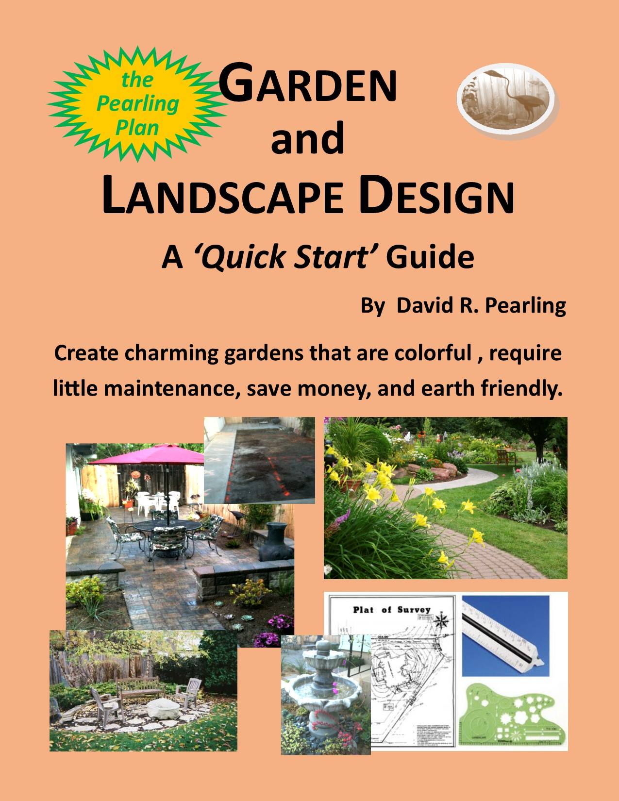 How to Start Designing My Garden: Expert Tips Unveiled