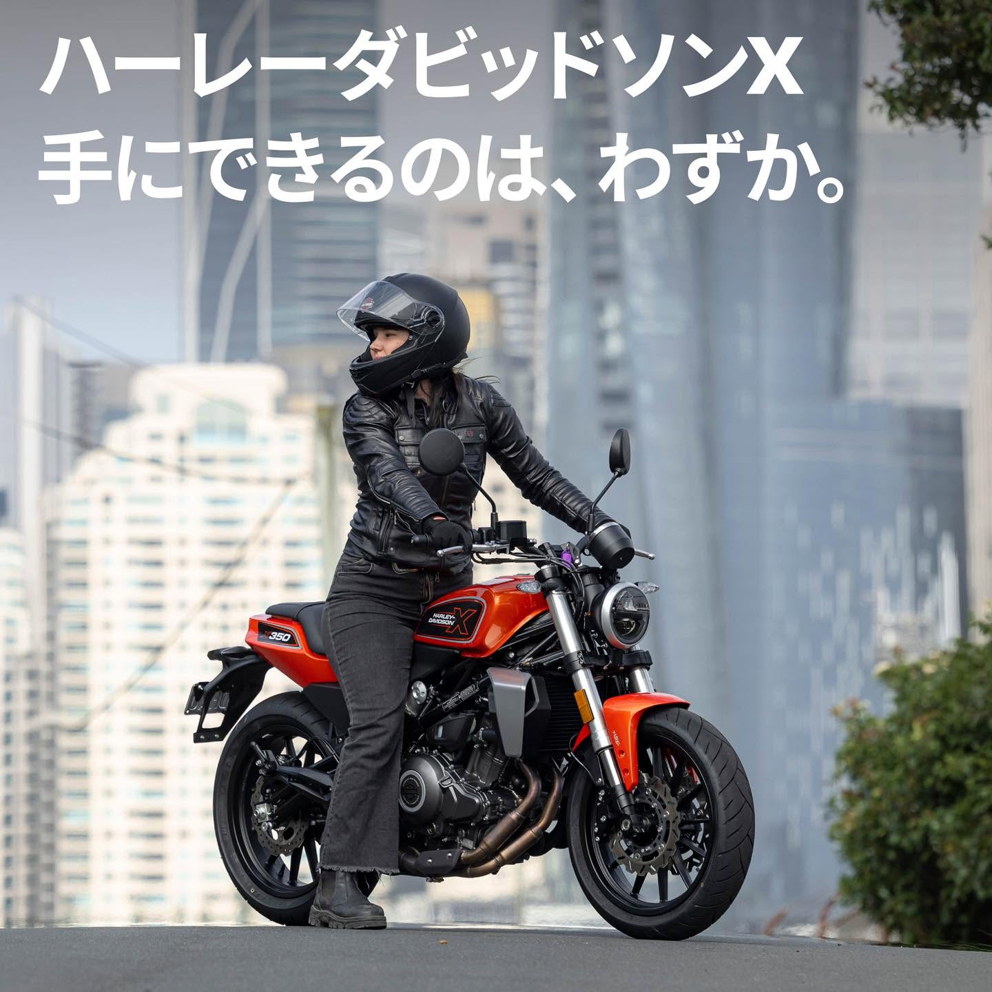 後藤モータース Harley-Davidson Yamaguchi | Yamaguchi-shi Yamaguchi