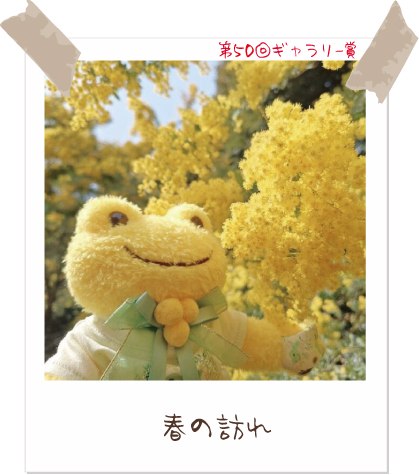 Today's pickles】#かえるのピクルス #picklesthefrog