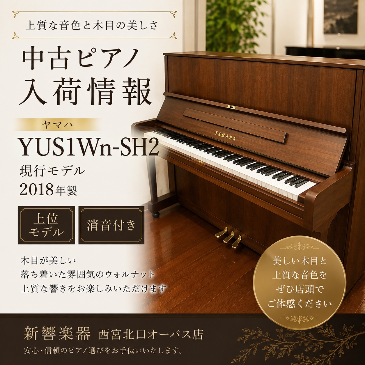 新響楽器 (@shinkyo.gakkiten) • Facebook