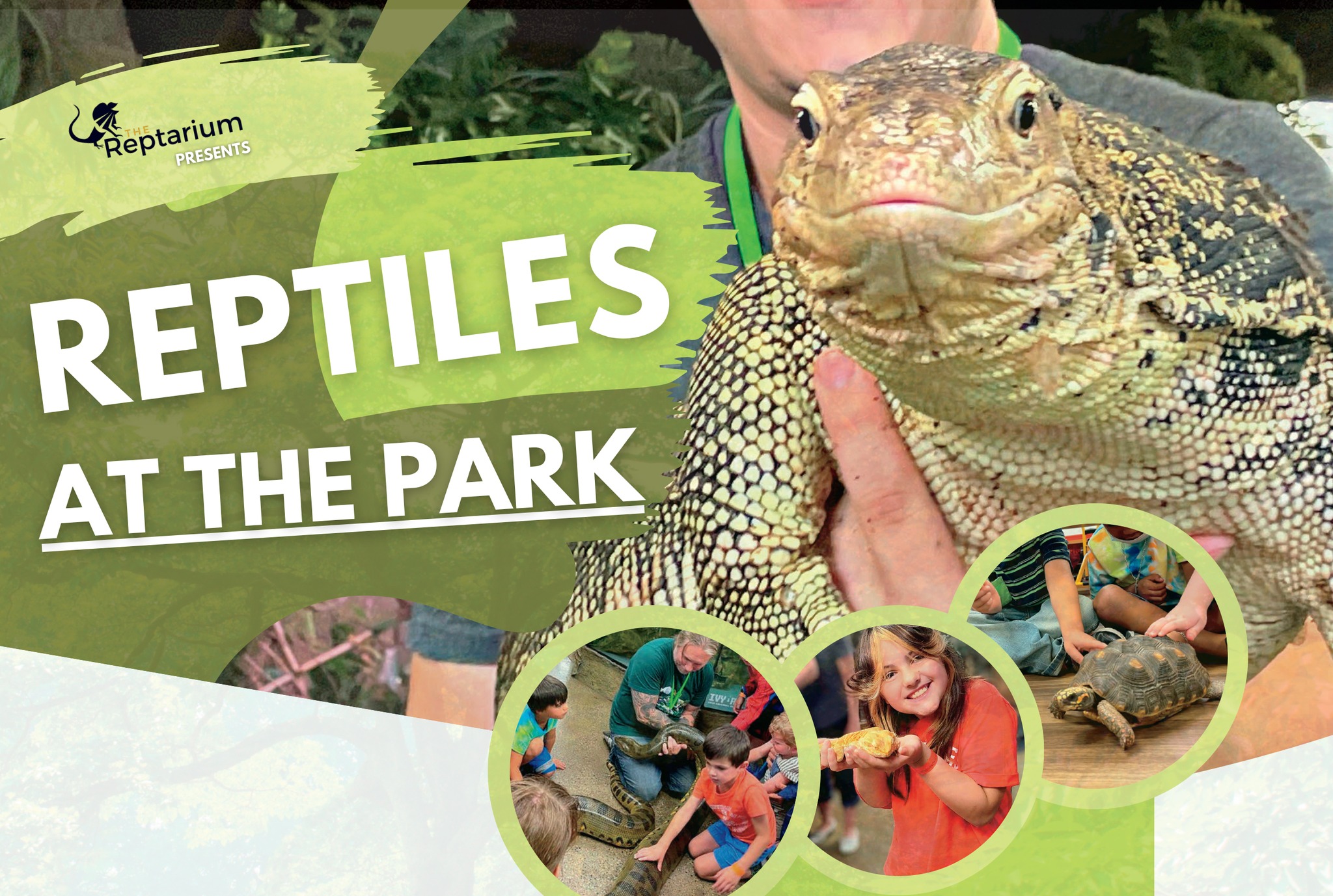 reptiles-at-the-park