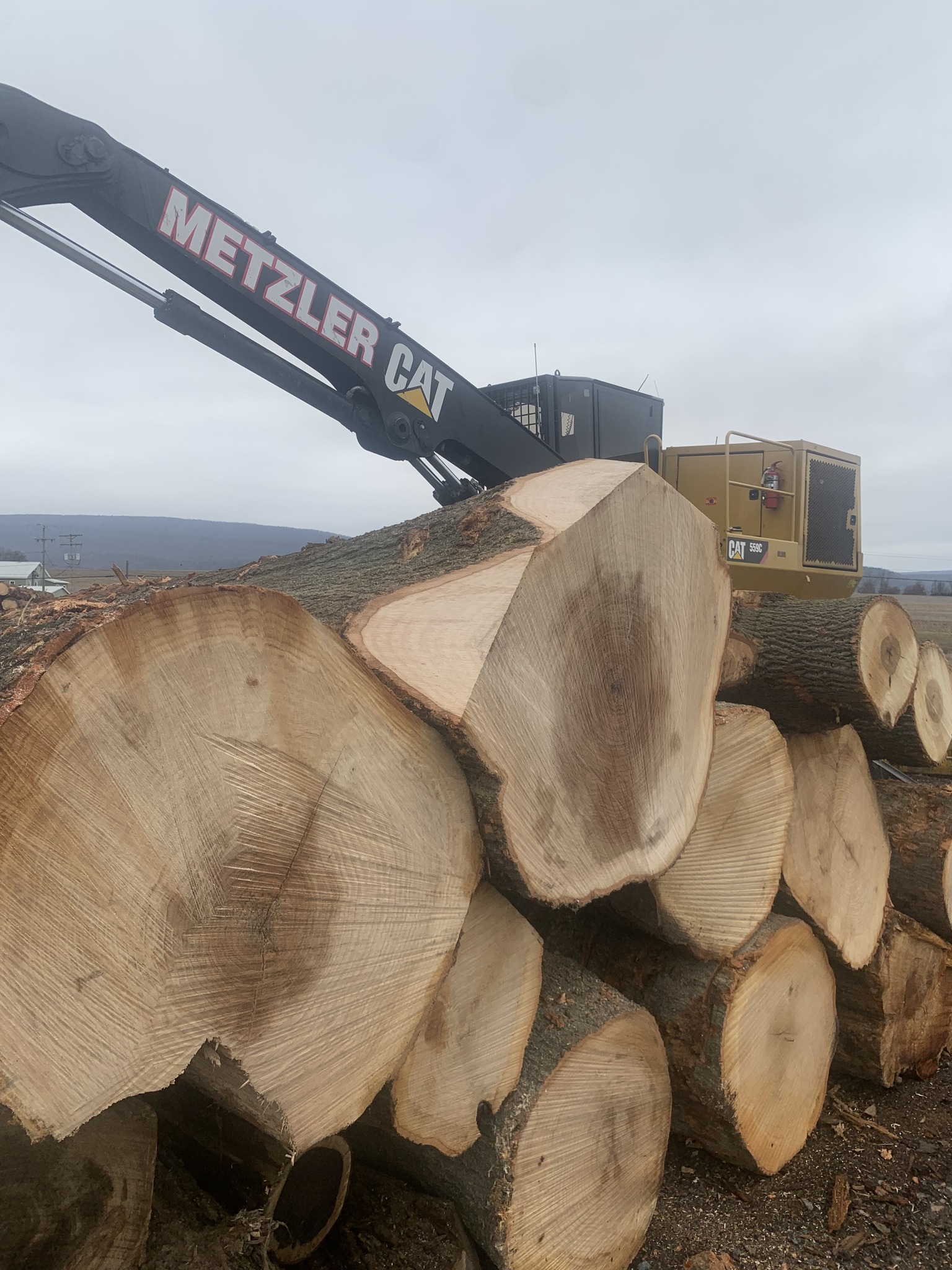 Metzler - Timber Talk Tuesday🌲 Today, we’re taking a look at why timber ...