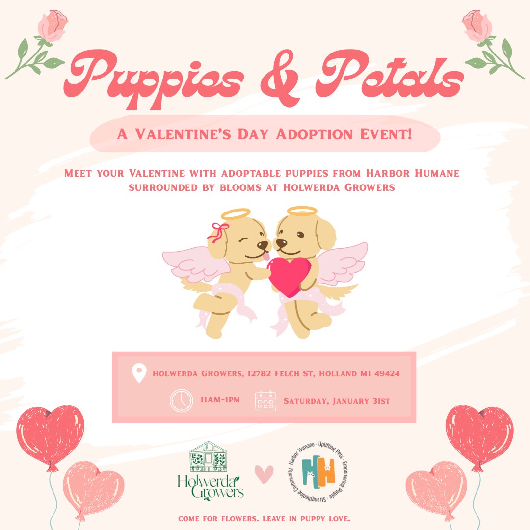Puppies & Petals