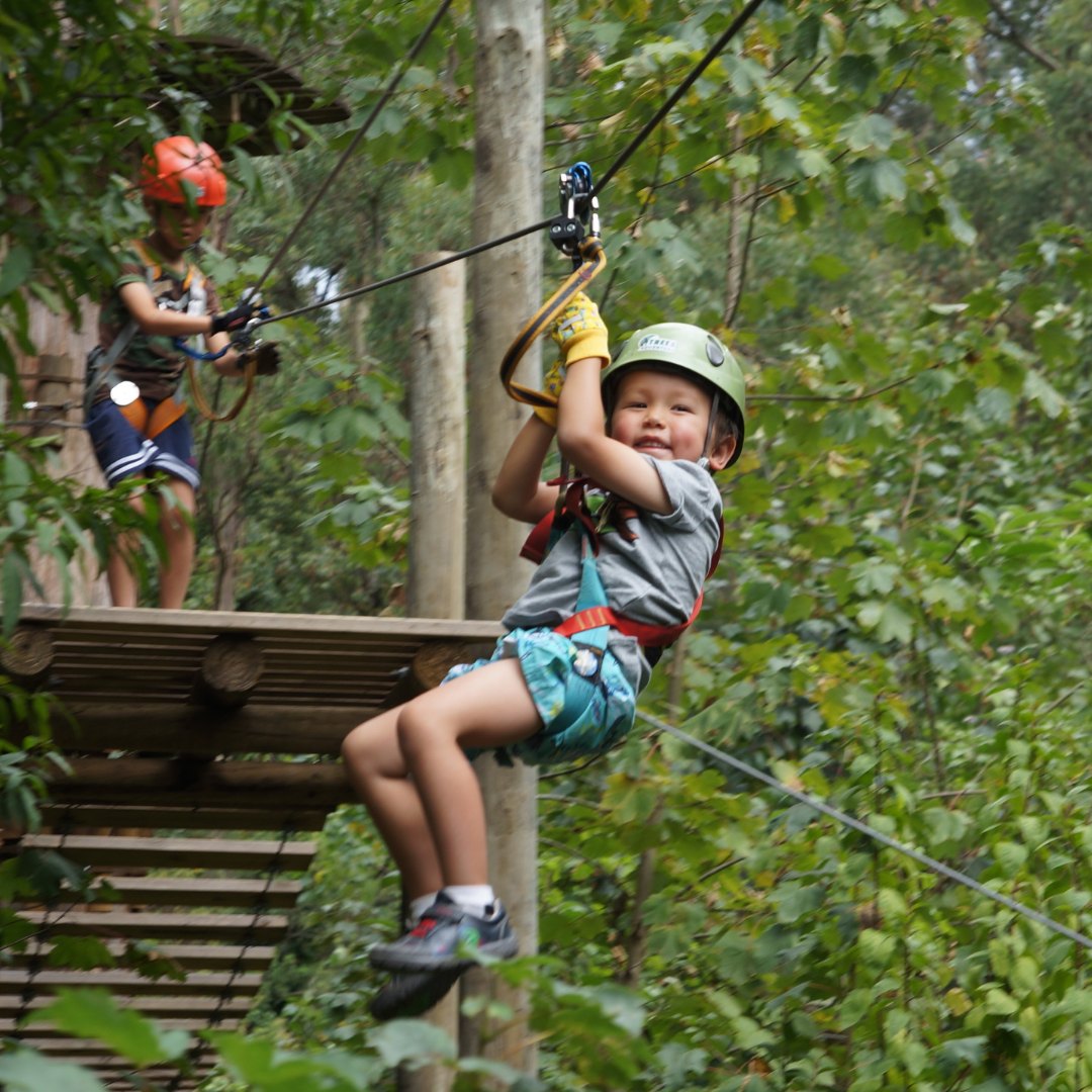 Treetops Adventure Belgrave | Belgrave VIC