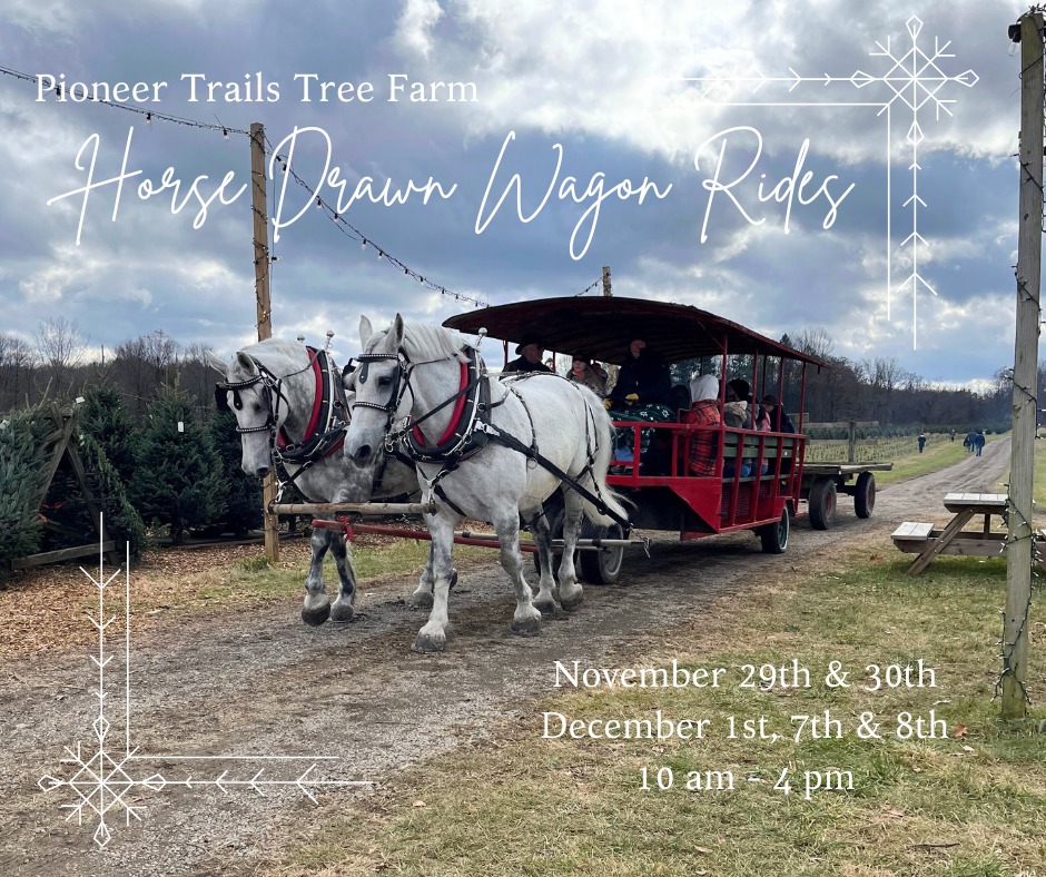 Horse Drawn Wagon Rides