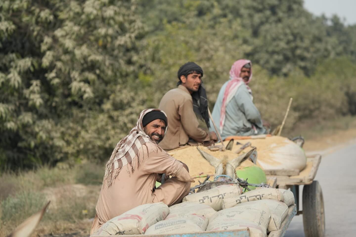 Dan - The rural people who inhabit the country side in Pakistan are ...