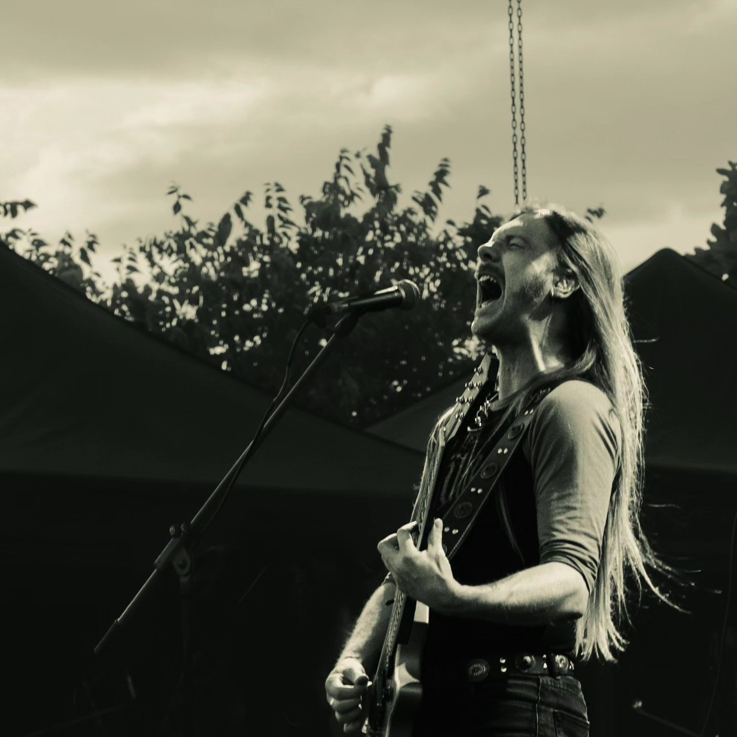 ギター Seven sisters Ivy Seven Sisters (@sevensistersheavymetal) • Facebook