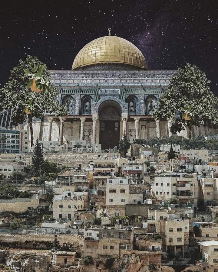 نها الشحات