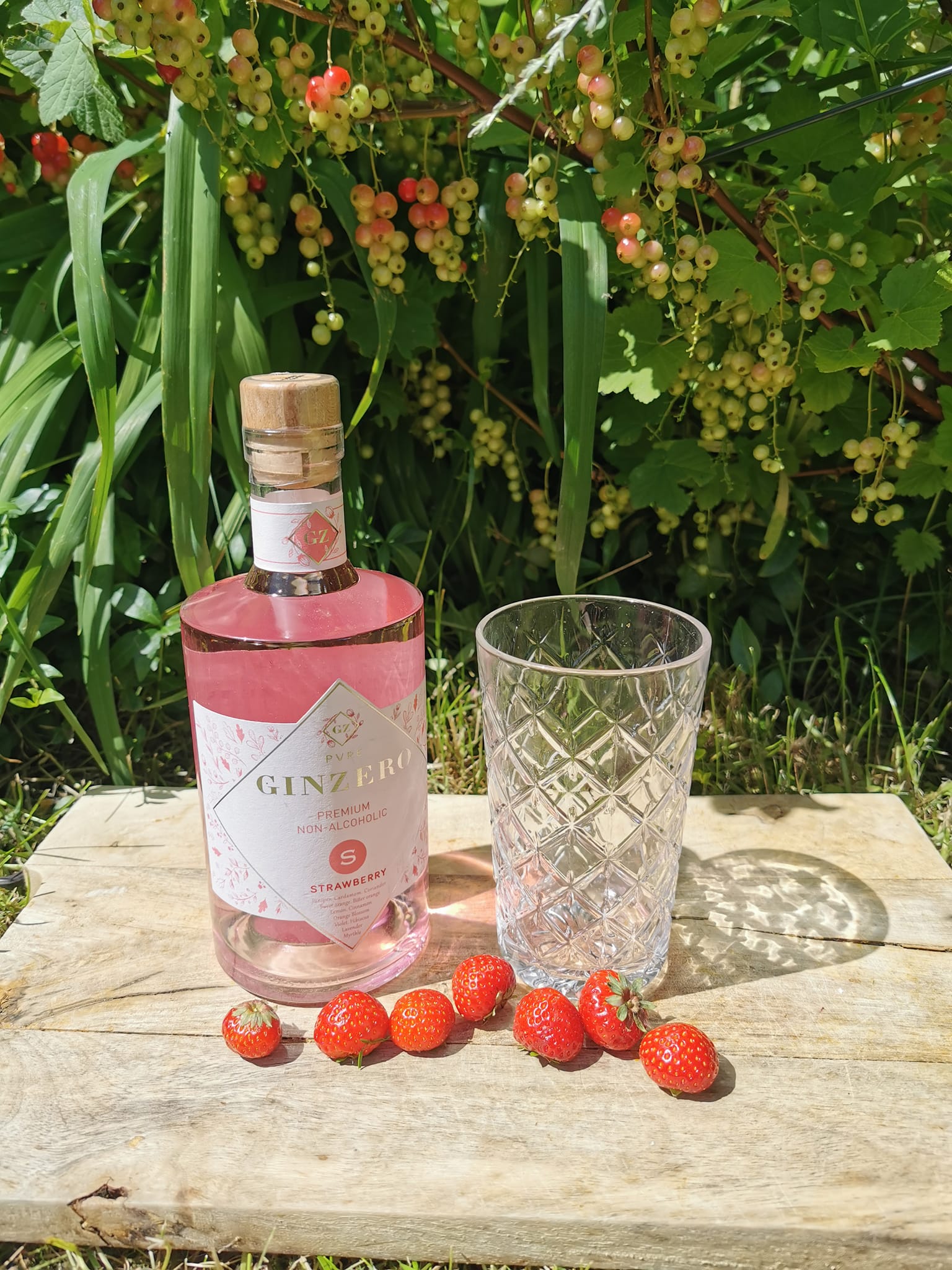 Noppus - Dit is de Ginzero Strawberry. Een alcoholvrije...