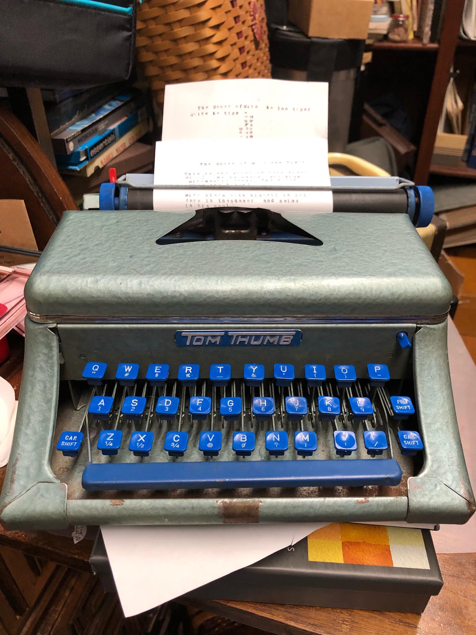Did anyone have a toy typewriter back in the 60s or 70s ?