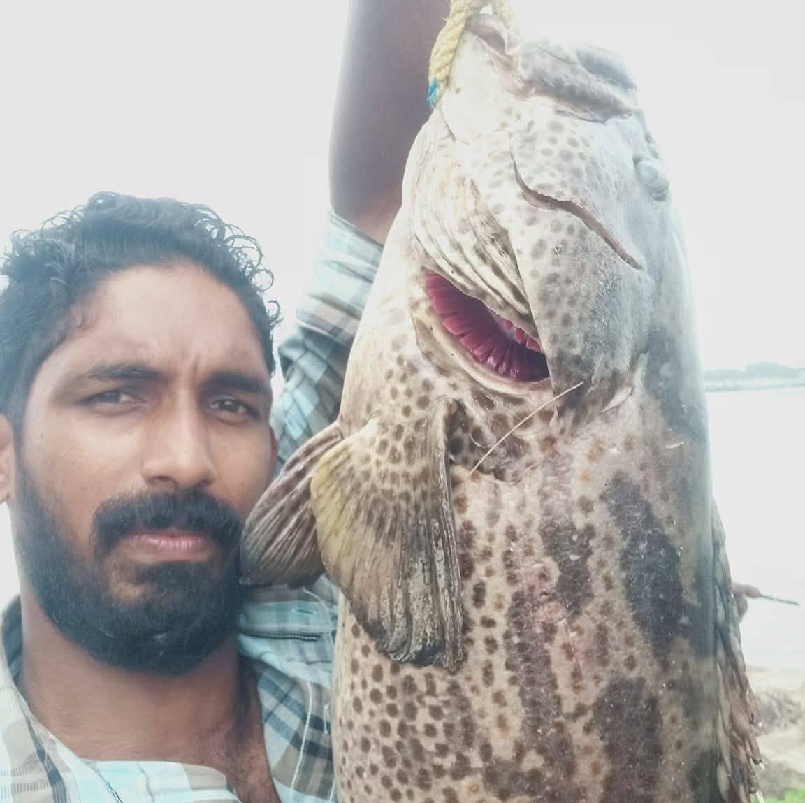 Naushad Kottakkal
