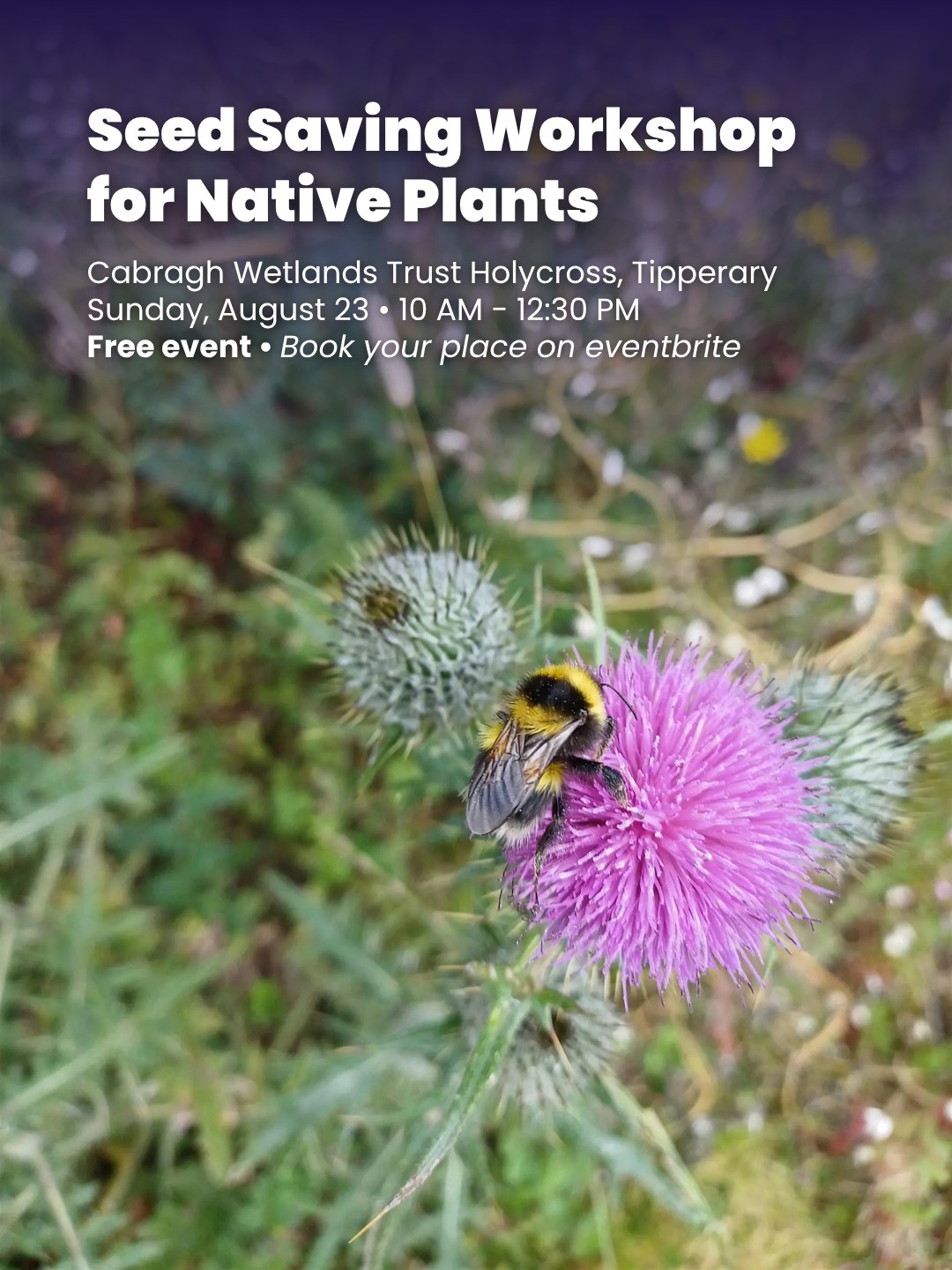 Seed Saving Workshop for Native Plants
