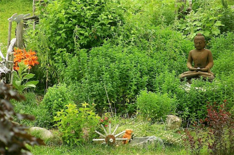 LifeSpring Beyond Organic Farm | Kawartha Lakes ON