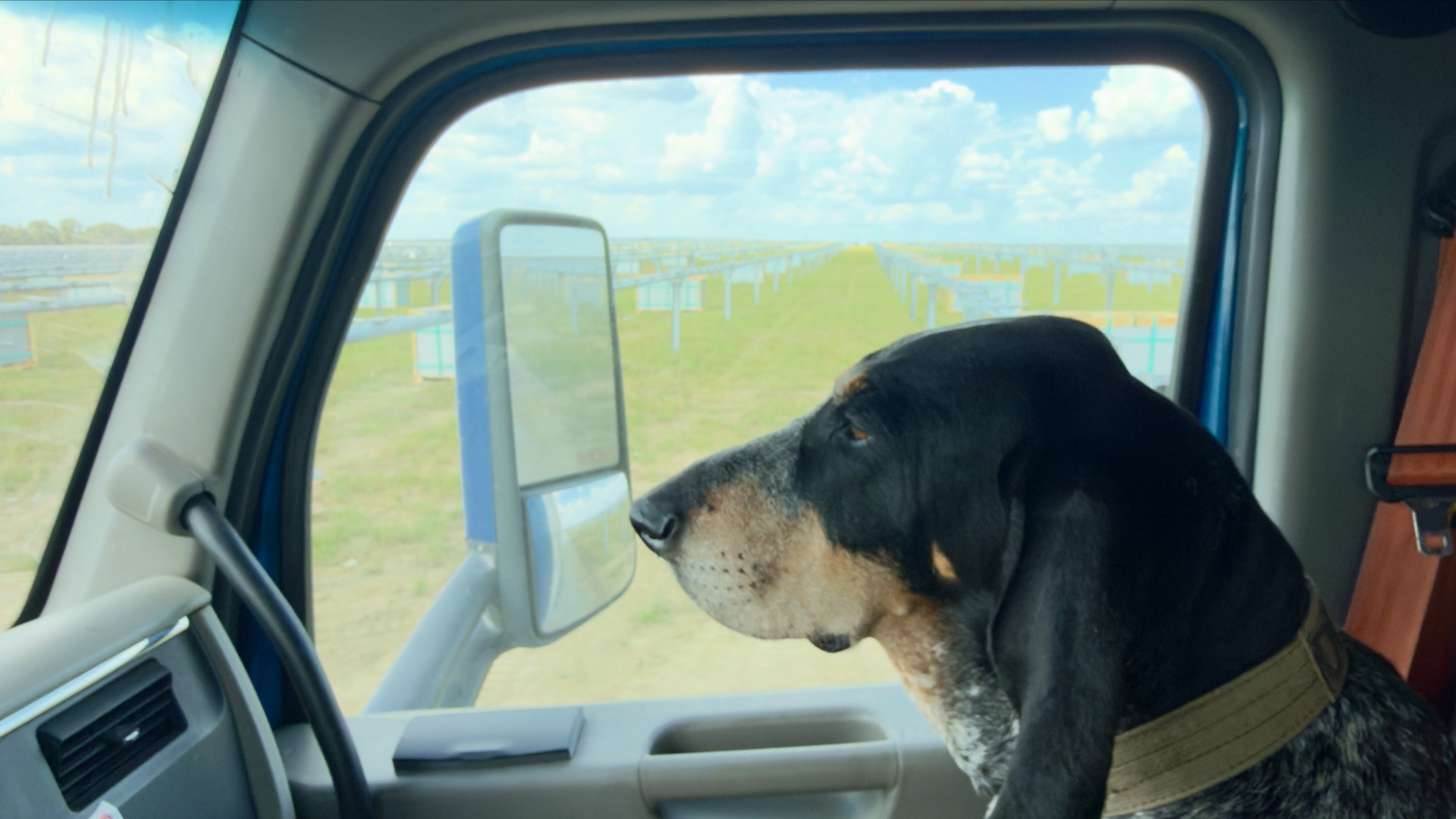 🐾🐾ROAD DOG CHRONICLES🐾🐾 Yesterday we had to deliver to a new