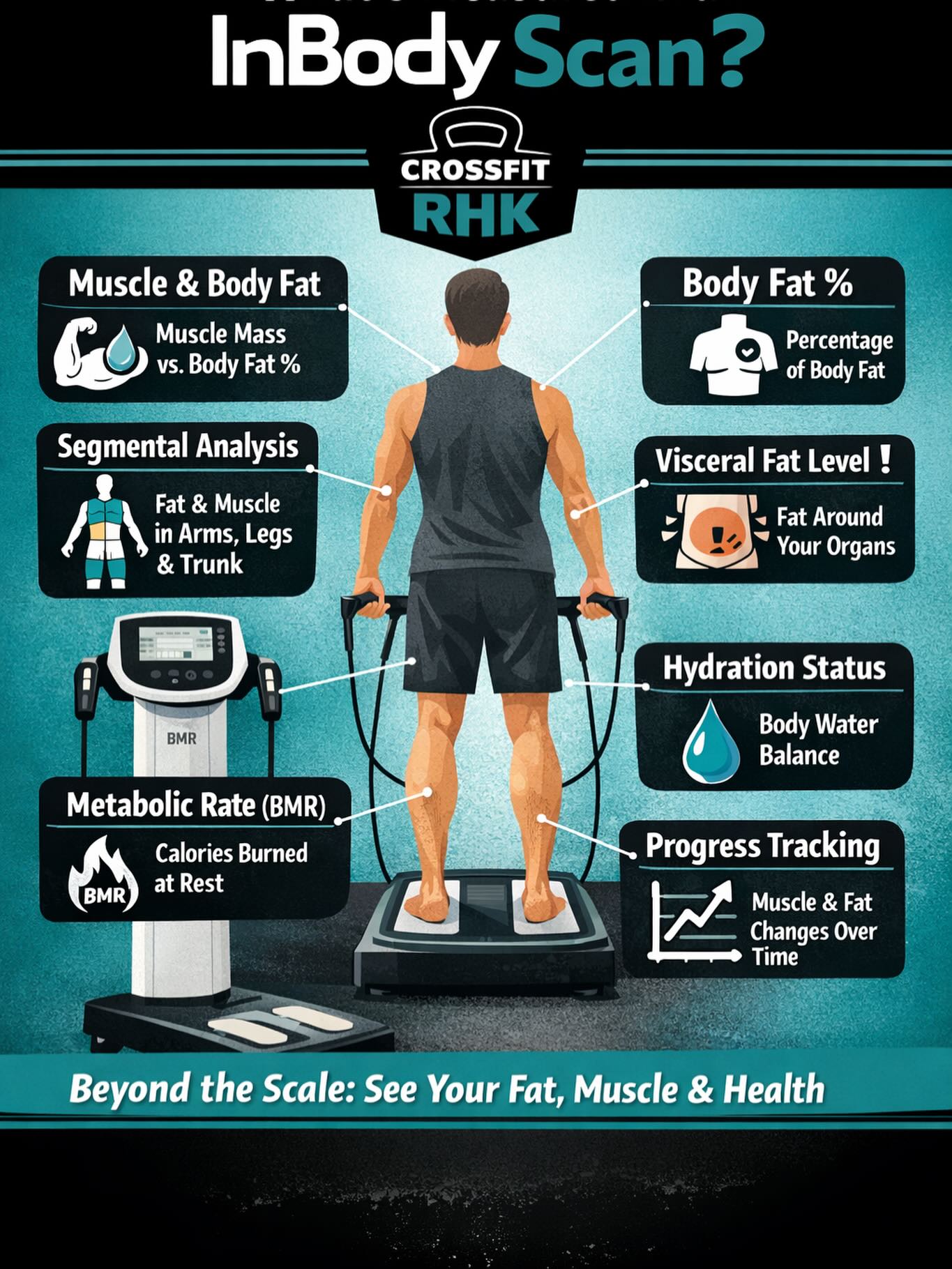 Hayden - 📊 WHAT DOES AN INBODY SCAN SHOW? The scale only tells you a ...