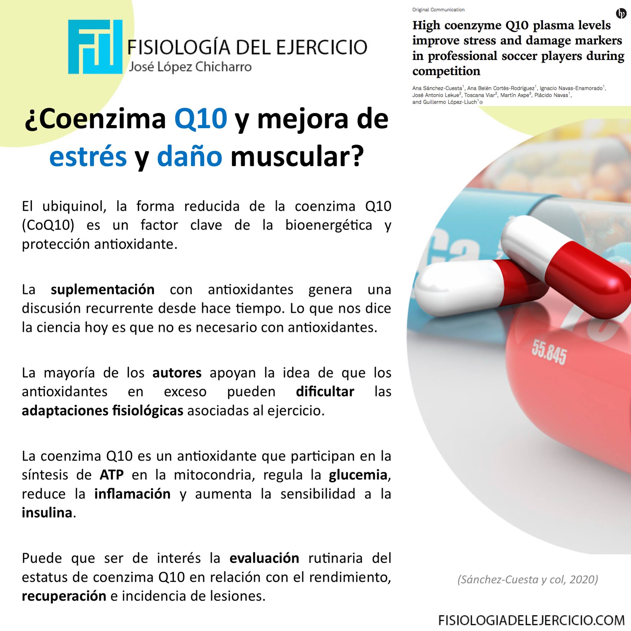 coenzima ubiquinol l-carnitina magnesio y d-ribosa Q10 mejora de estrés y daño muscular? ✨ Boost your energy Packaging:45 gummies Neck firming balm