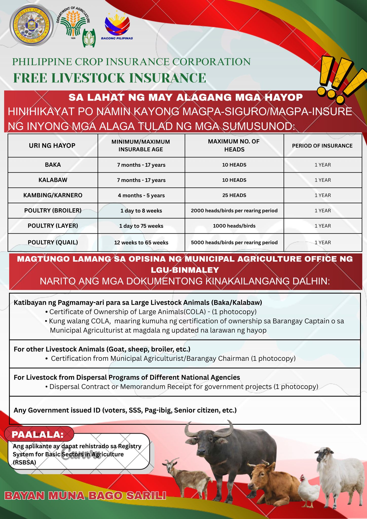 Agriculture Binmaley - 📣 LIBRENG LIVESTOCK INSURANCE PARA SA MGA MAG ...