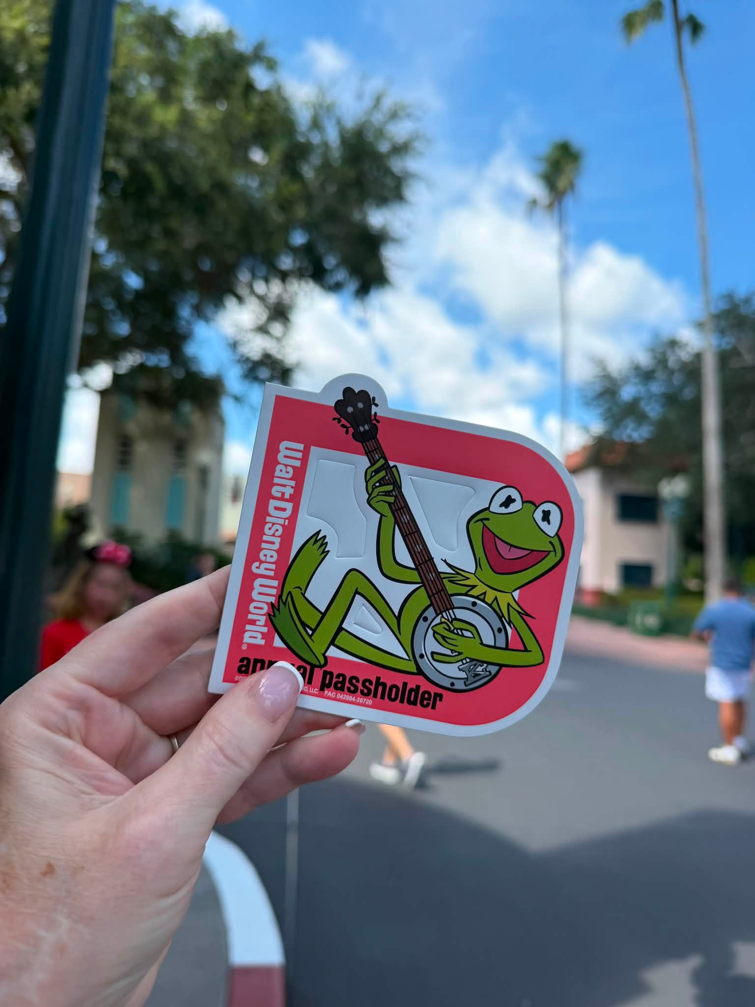 Kermit magnet location at Hollywood Studios in Walt Disney World