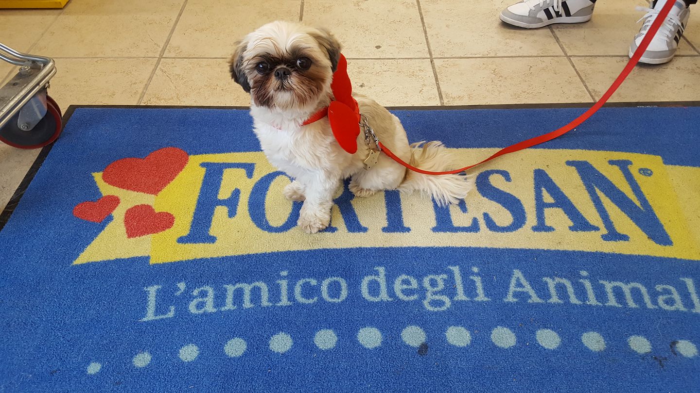 Fortesan | Brescia