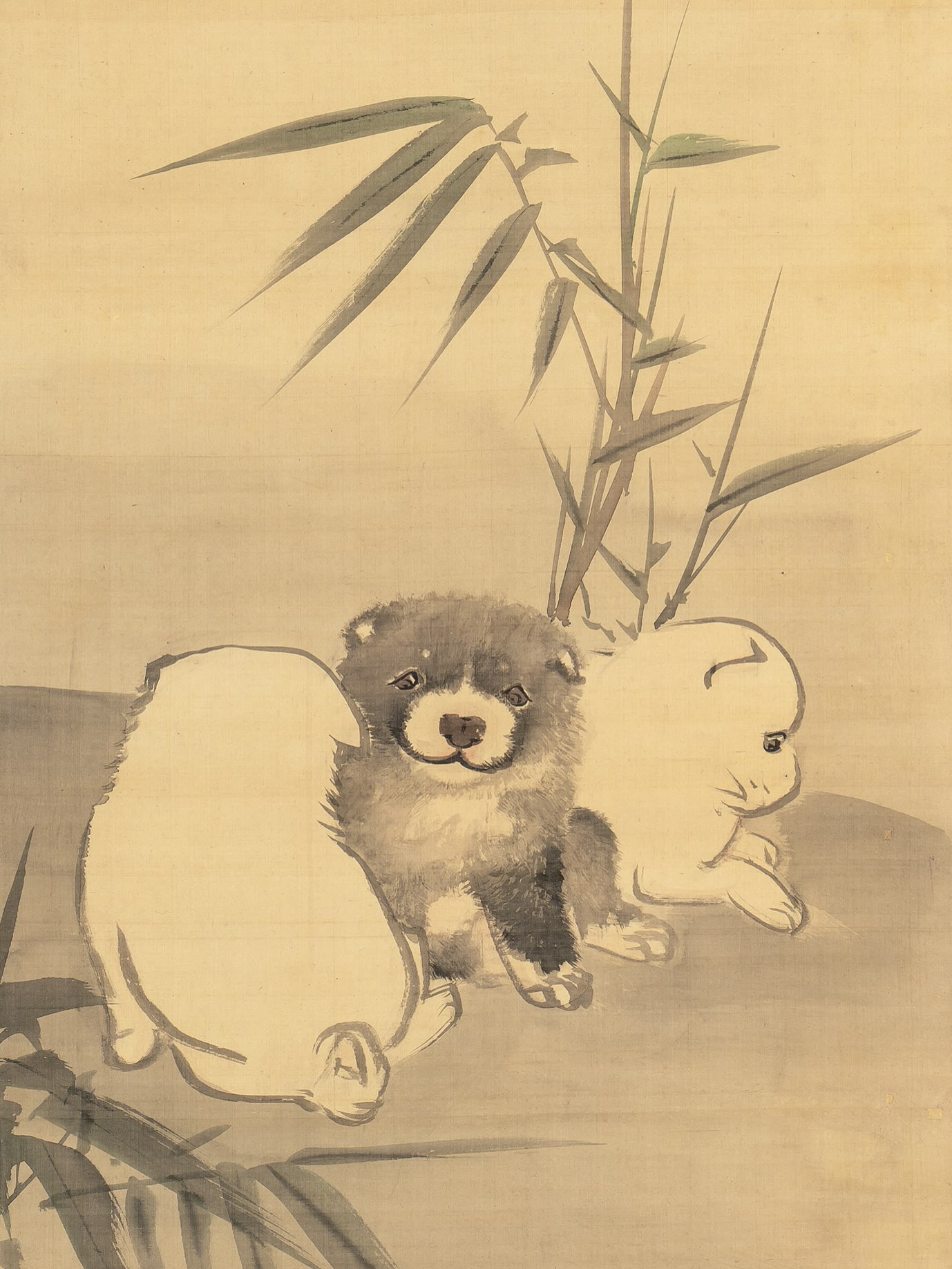 円山応挙「竹に仔犬図」（左隻） 前期展示 近年 #江戸絵画 の子犬図