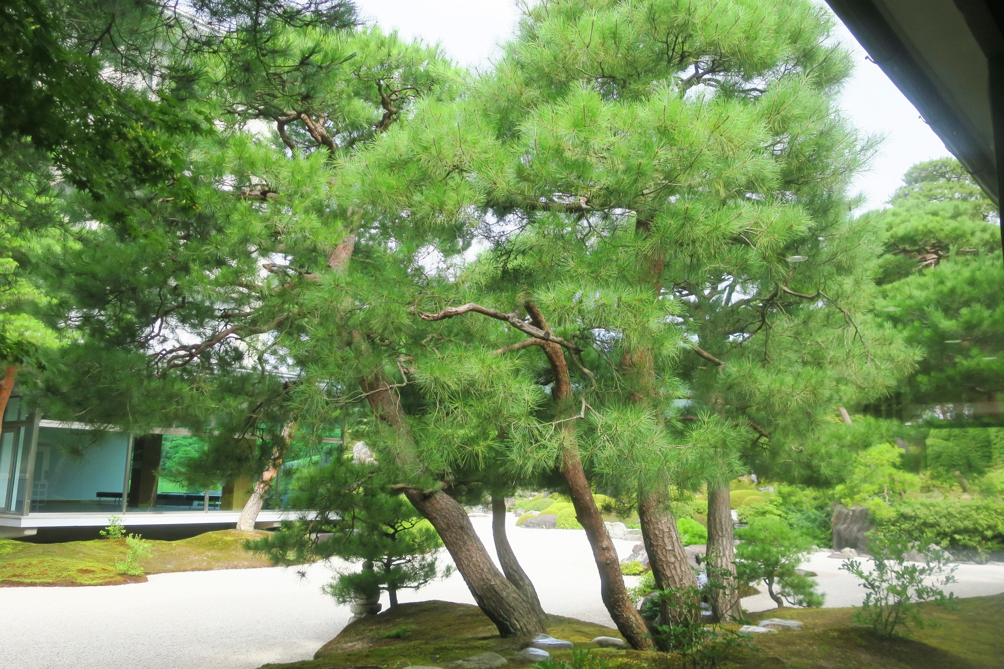 足立美術館発行 足立美術館について | 足立美術館｜ADACHI MUSEUM OF