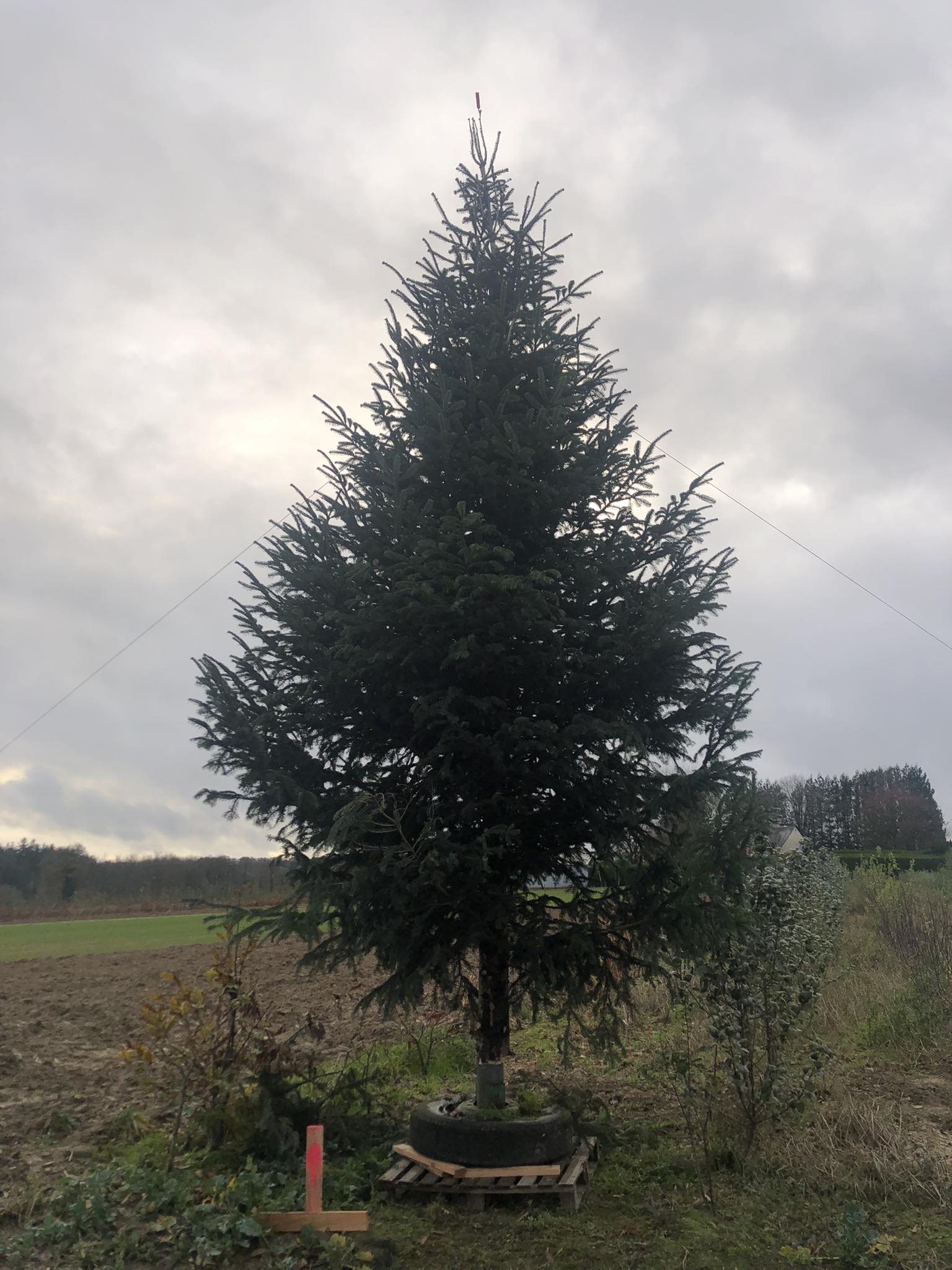 SARL Rouxel Les Pépinières De Bretagne | Saint-Vran