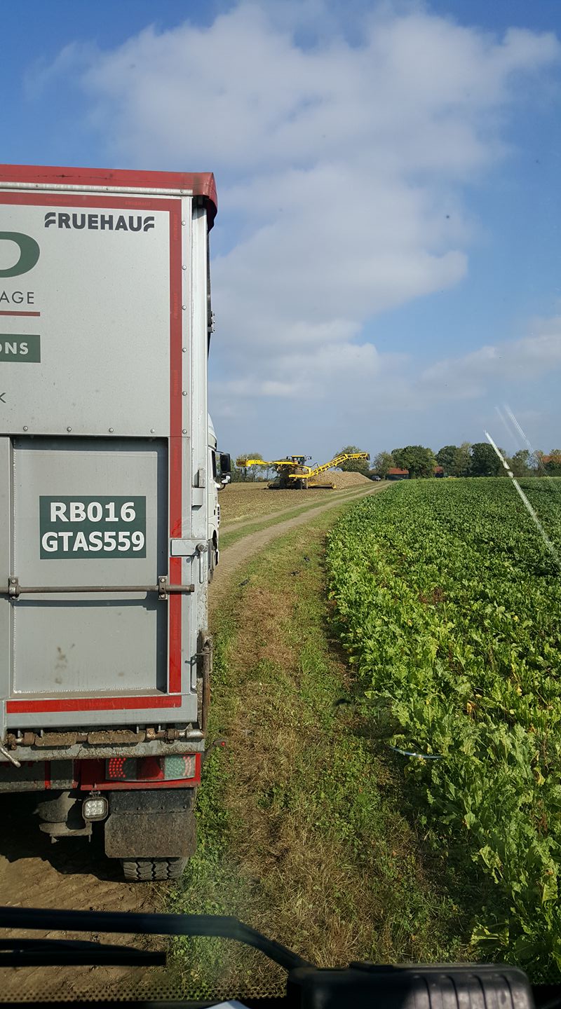 PDS Direct Services Ltd | Royston