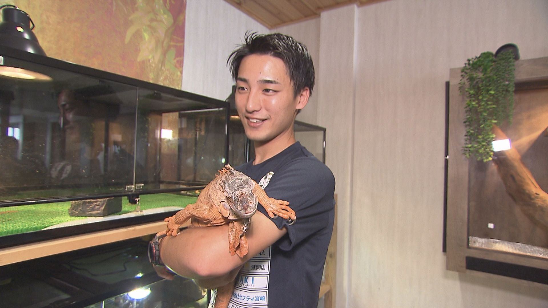 ☆夏休みに「ダムカード」を集めませんか？☆ ～宮崎県耳川水系ダムで