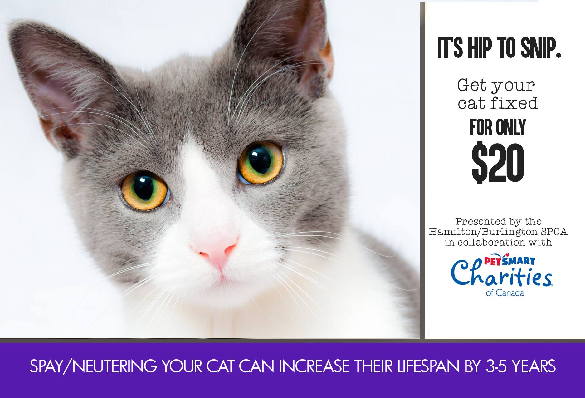The Hamilton/Burlington SPCA is... - Hamilton/Burlington SPCA