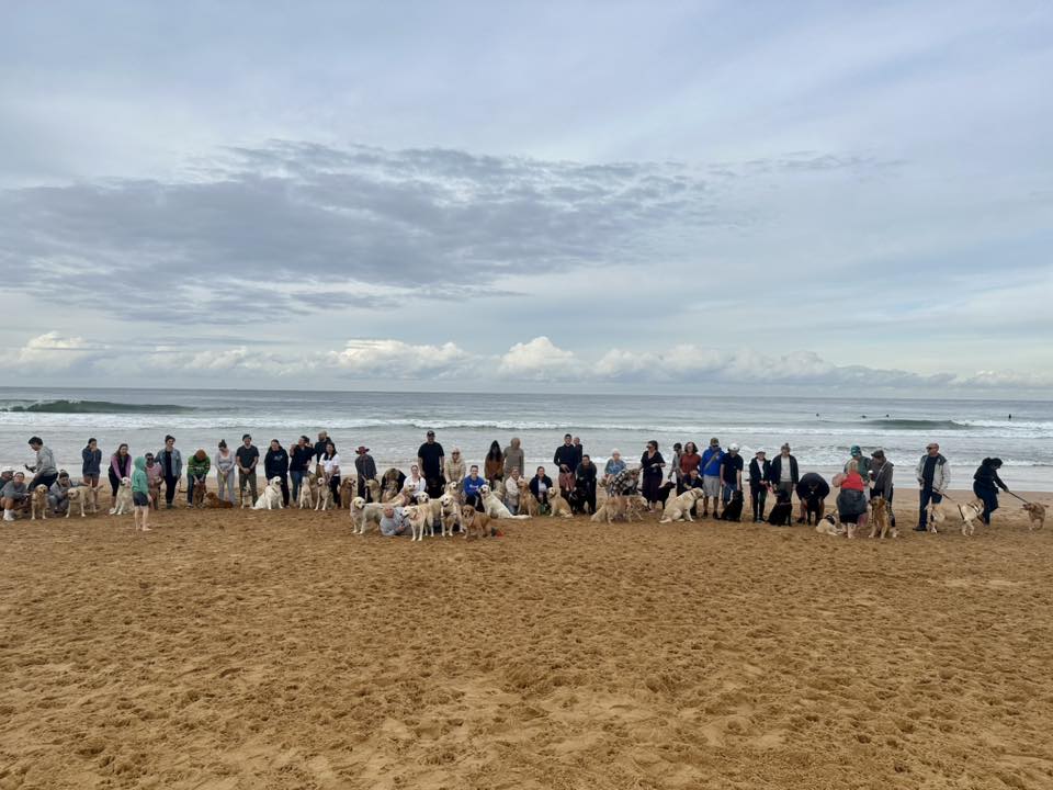 July catch up Wamberal Beach