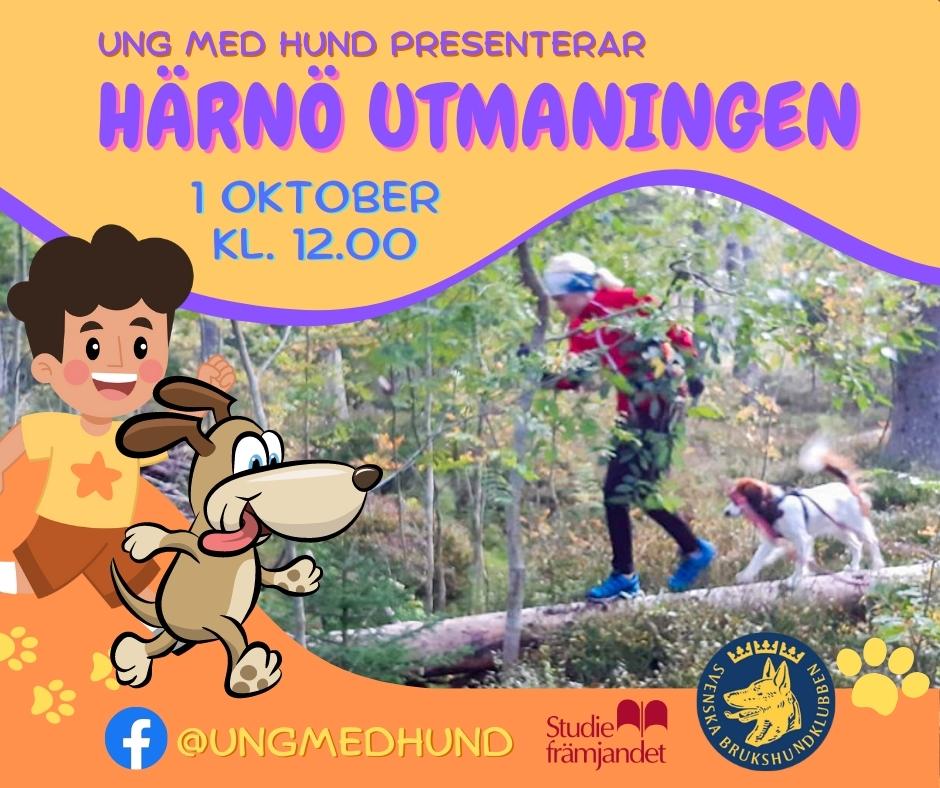 Ung med hund - Brukshundklubb - Härnösands brukshundklubb med gruppen ...