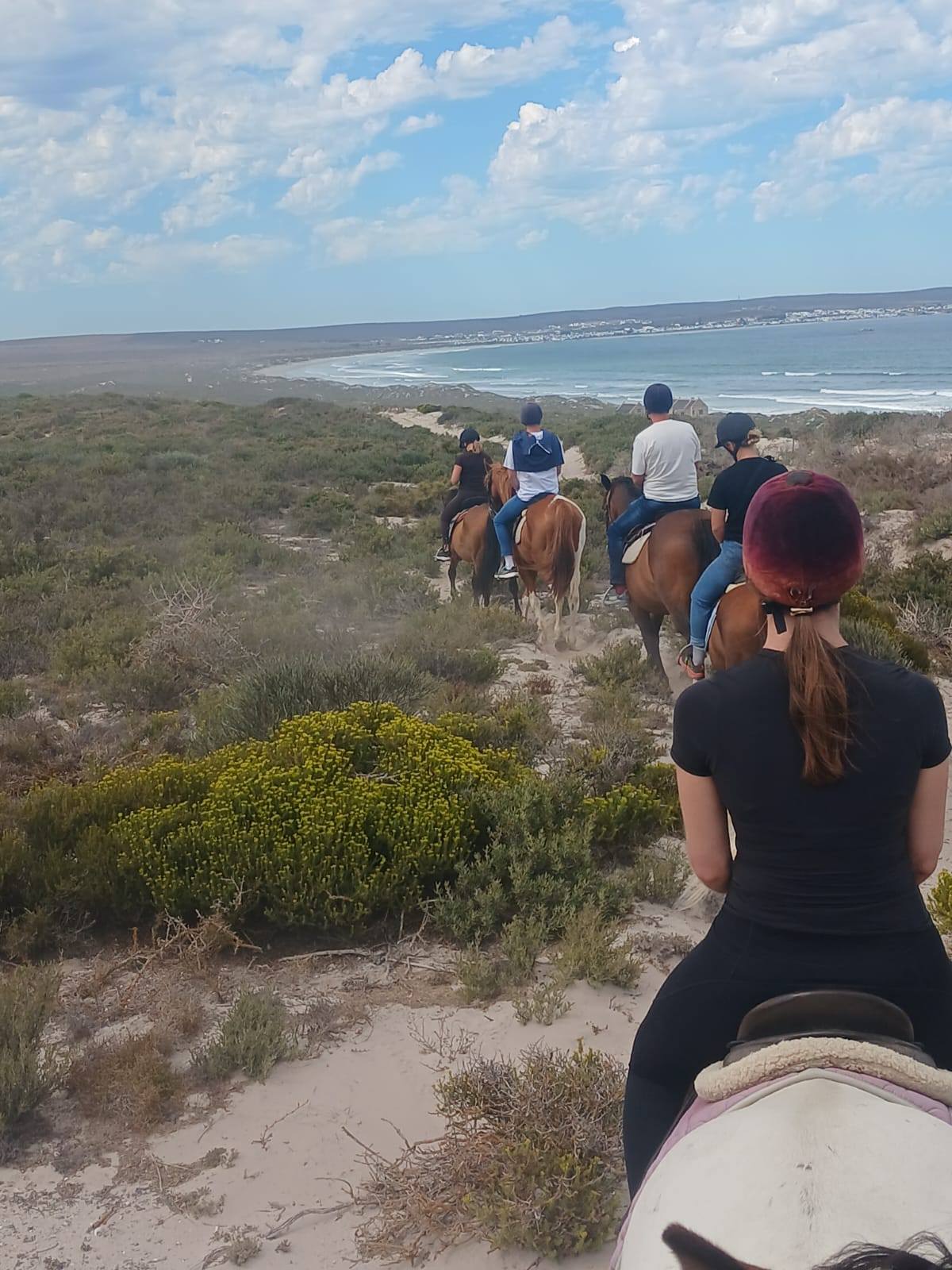 Drikus Horse Trails | Paternoster