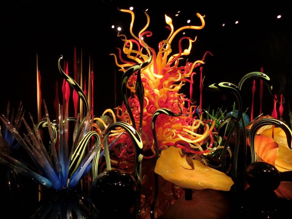 With its bold use of glass, abundance of light, and innovative