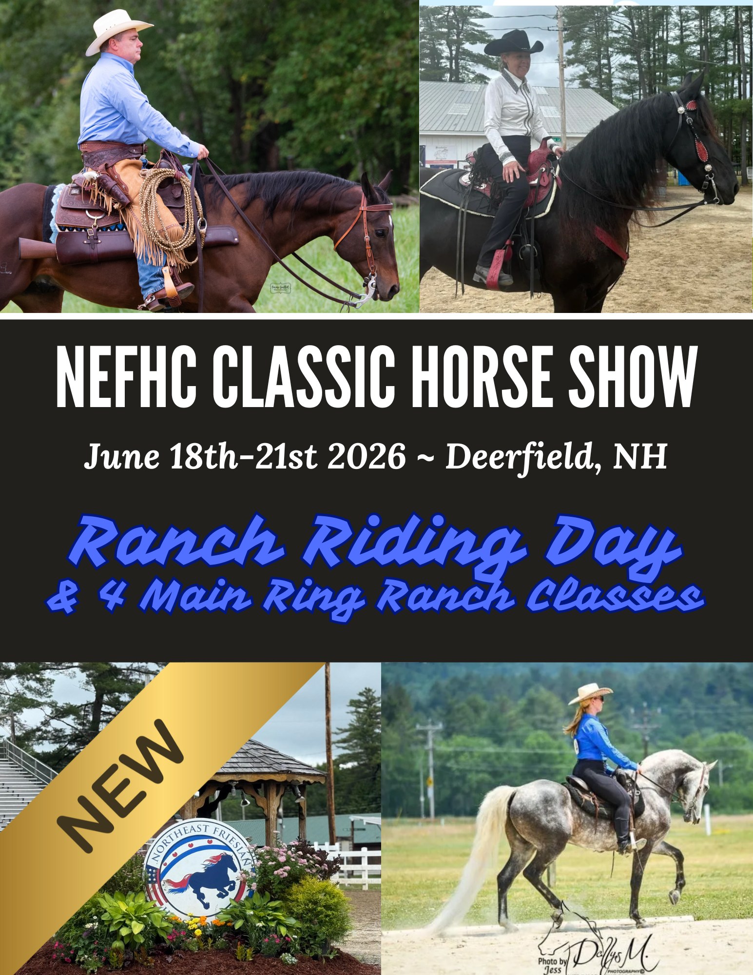 The NEFHC always has... - Northeast Friesian Horse Council | Facebook