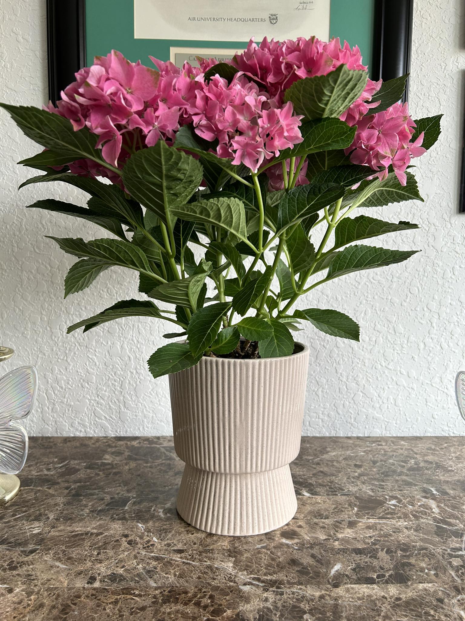 Adriene - Fresh flowers for the week! Just because they’re beautiful! 💕 ...