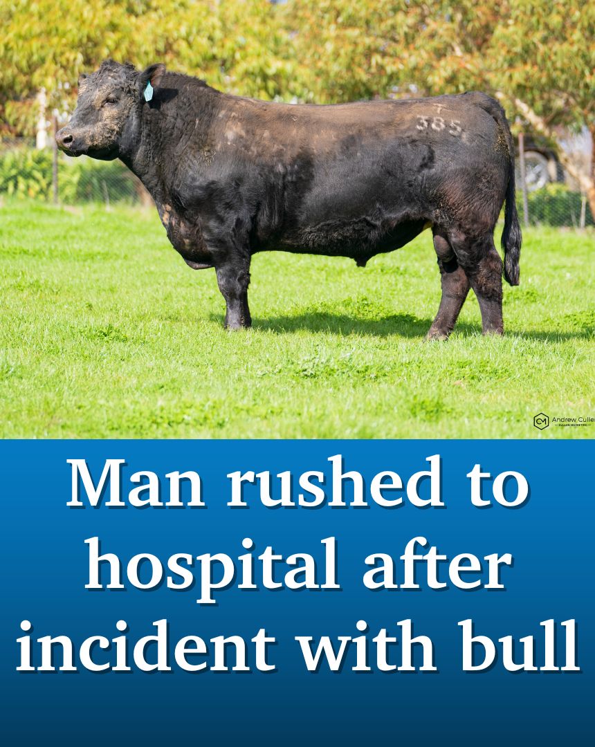 Central - Paramedics have rushed a man to hospital after a late-night ...