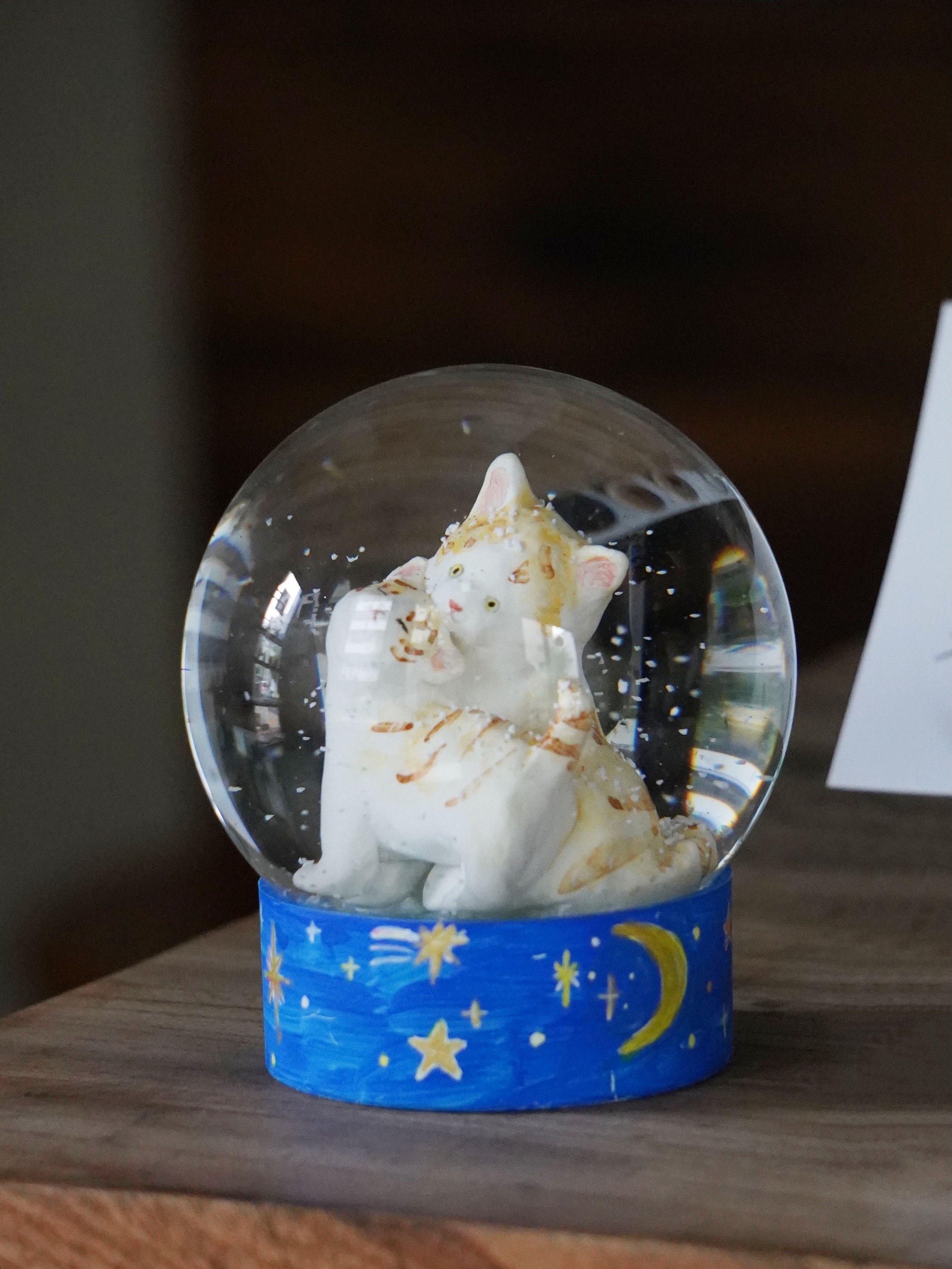 本日より、村井陽子さんの個展が始まりました。 そっと私たちの日常に