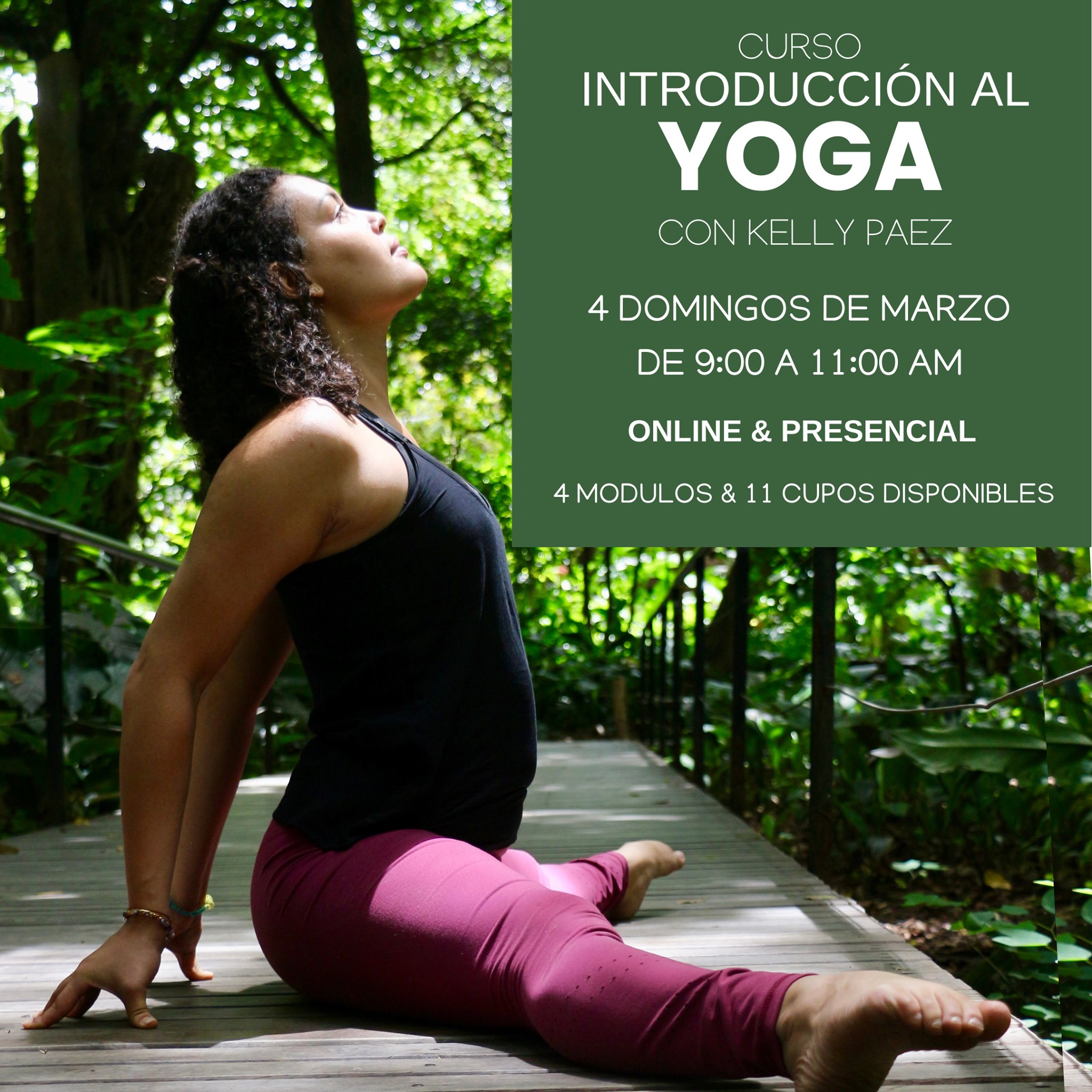 Curso #IntroducciónAlYoga con Kelly... - Flying Tree Yoga | Facebook