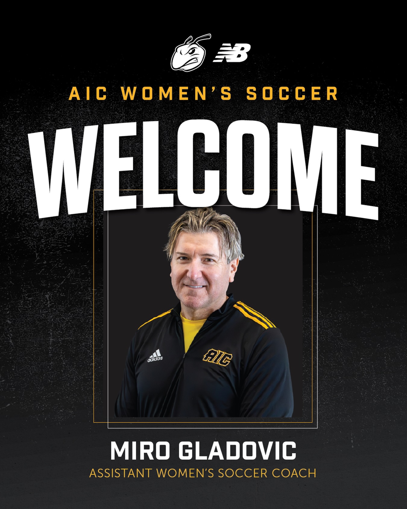 AIC - Welcome to THE HIVE🐝 Miro Gladovic joins AIC as the Women’s ...
