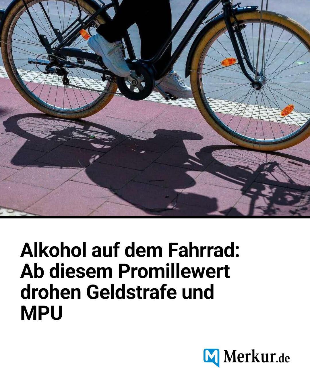 metal gear saga vol 2 vol. dvd Veelar Kinderfahrradanhänger für 1-2 promoname_26 specialized end o Wähle Deine Farbe:flame