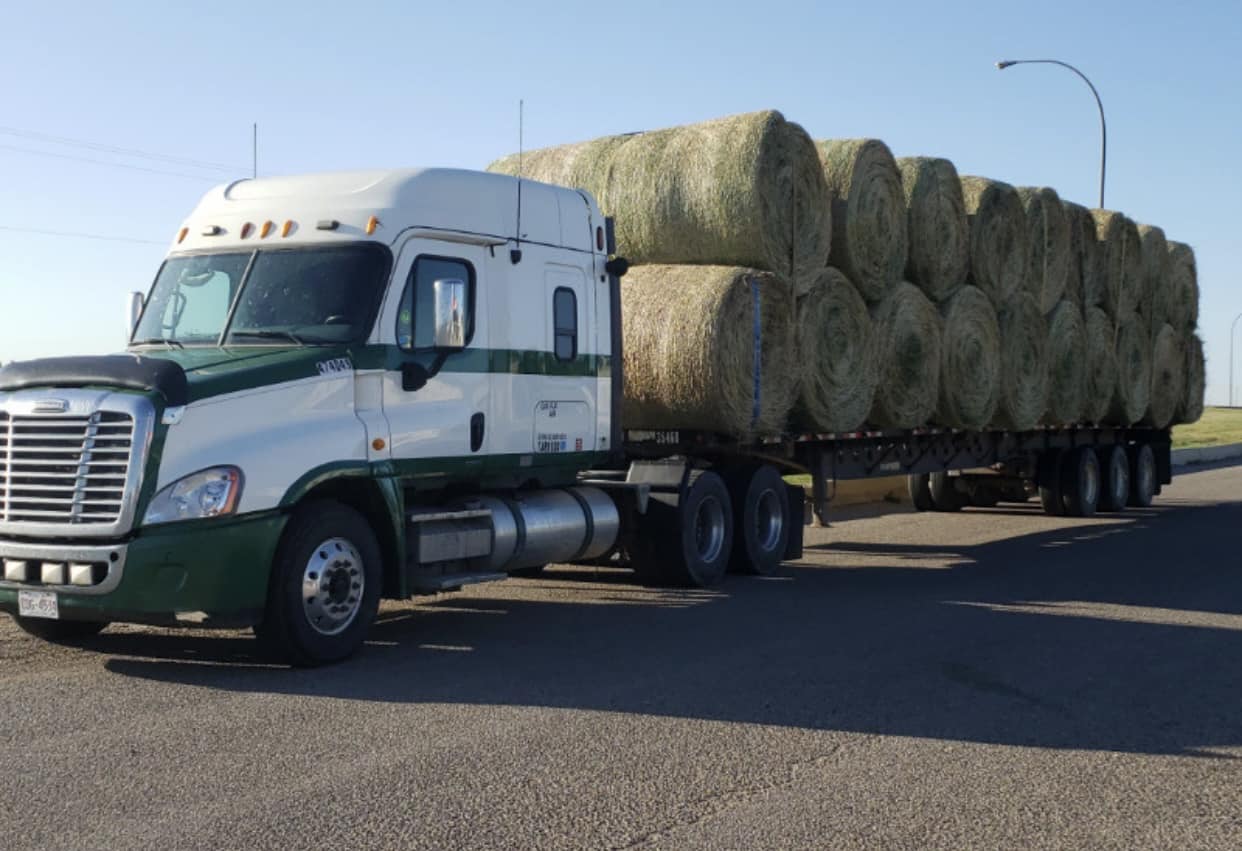 HAY LIST