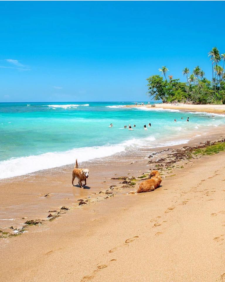 Steps Beach, Rincón 📍🇵🇷🌊 📸:... - Jukeate con Puerto Rico | Facebook