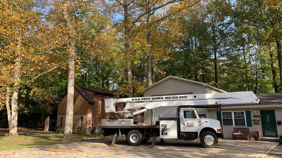 AAA Tree Work