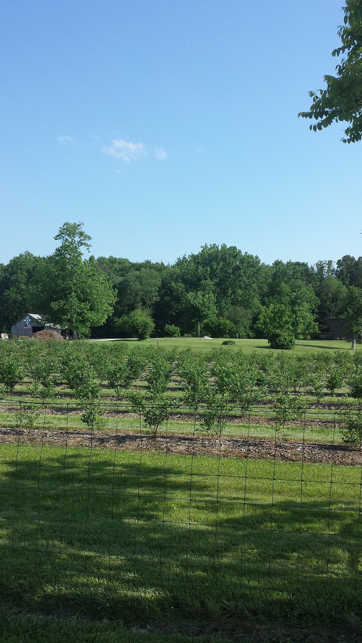 Clark's Berry Farm - Home
