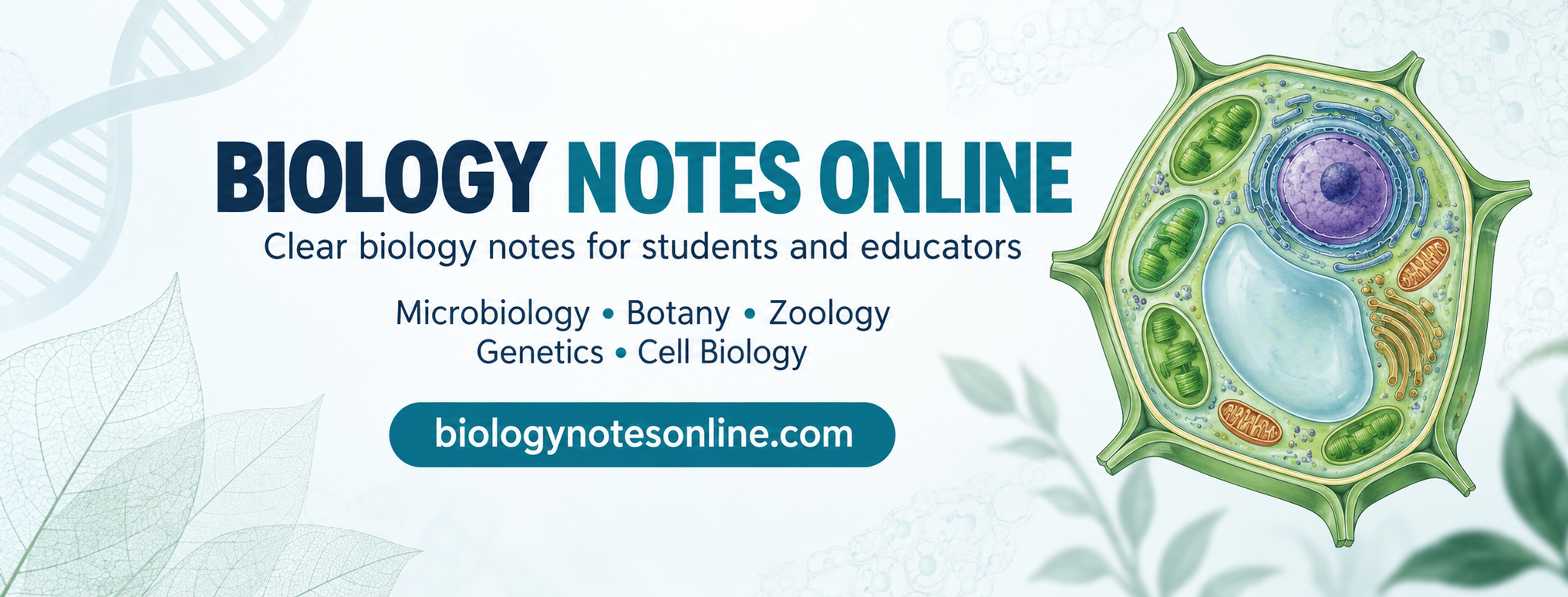 Rethink Biology - ATP production in mitochondria... | Facebook